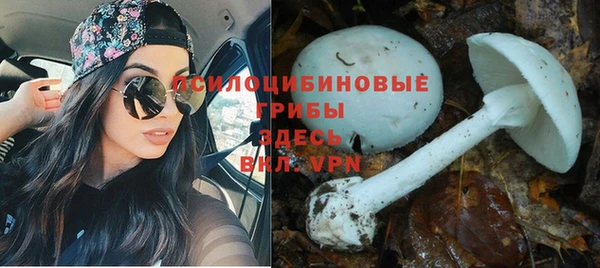 mdpv Нея