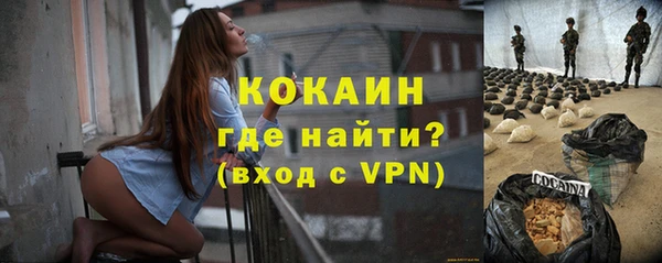 шишки Надым