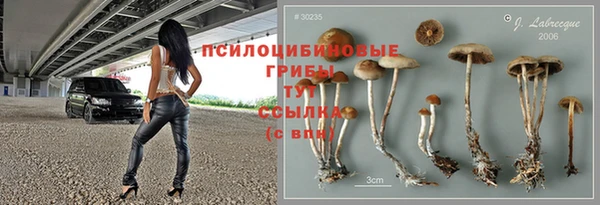 mdpv Нея