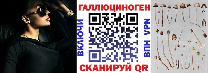 Галлюциногенные грибы прущие грибы  как найти   Корсаков 