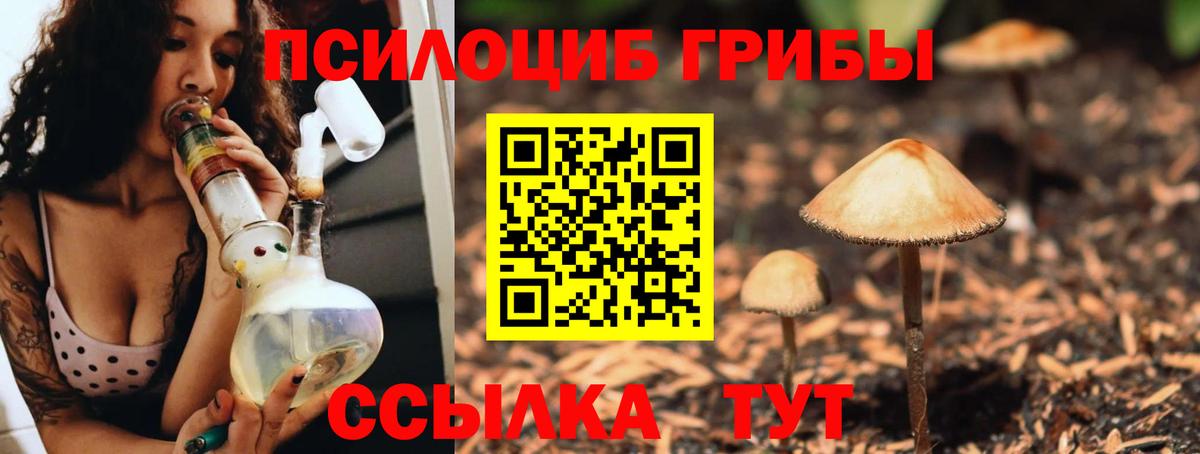 наркошоп  Вход с VPN  Корсаков  Псилоцибиновые грибы Cubensis 