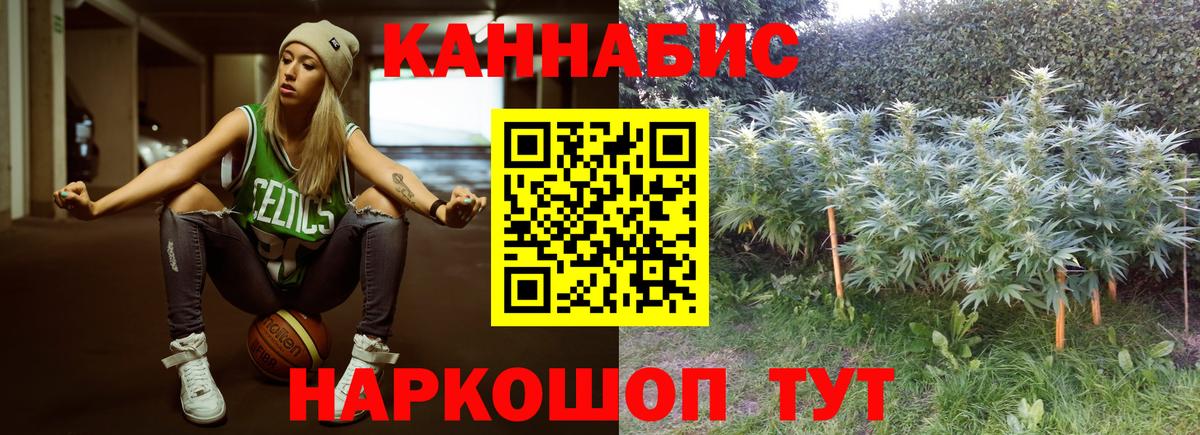 МАРИХУАНА ГИДРОПОН Корсаков